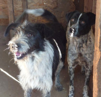 /album/2024-01/391685883-680146800880056-4789155197803289573-n-jpg1/