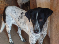 /album/2024-01/391691483-680146620880074-6769985448046816057-n-jpg1/