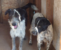 /album/2024-01/391701545-680146574213412-1179624443098977729-n-jpg1/