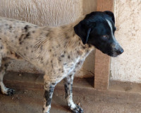 /album/2024-01/391745646-680146657546737-9121761773494040567-n-jpg1/