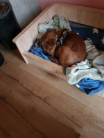 /album/139/a6549ab7-9671-4e1f-b1d6-04e5e7be1107-jpeg/