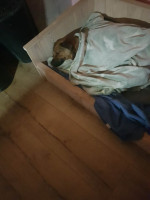 /album/139/cb2381d9-dd0c-4481-a237-99a93d31e364-jpeg/