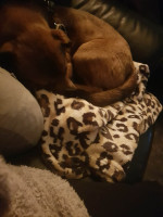 /album/139/13758b21-c940-44de-adb0-79ad0b4a85c7-jpeg/