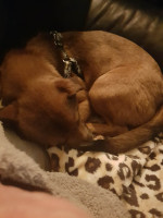 /album/139/21035534-8d68-445e-ad99-5a2bd538e685-jpeg/