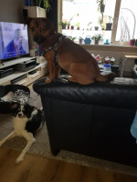 /album/139/20d9e298-ed96-4a56-9227-e9bf88219642-jpeg/