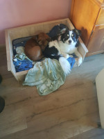 /album/139/996e5560-da70-456f-8d93-a64367c89b15-jpeg/