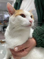 /album/183/626894967-1259553662939364-1678330074075335255-n-jpg/