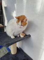 /album/183/616784973-2632481700471335-7114417573773046364-n-jpg/