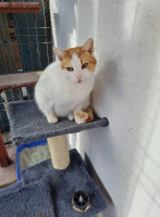 /album/183/615389619-2632481627138009-7465589072020671795-n-jpg/