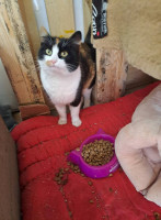 /album/189/614596002-2632474453805393-6857588837961941371-n-jpg/