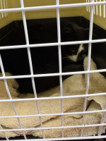 /album/111/ed7dda35-4707-4151-8989-0076f5a40882-jpeg/