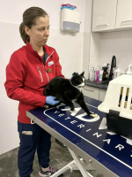 /album/111/8295b68c-d9c2-48a5-a9a5-f3c5cbff4676-jpeg/