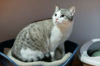 /album/24-02-2026/ca97c134-24c1-4164-998d-9613a47bbcd9-jpeg/