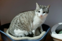 /album/24-02-2026/460ae826-eee4-448c-bd4e-793e841729b9-jpeg/