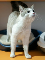 /album/24-02-2026/fbc115f5-5594-410b-9d6d-06c89bdf42d5-jpeg/