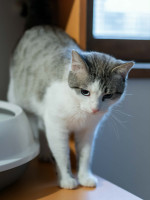 /album/24-02-2026/ef55a53c-4fa3-4982-9838-1805ea4760c1-jpeg/