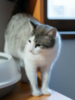 /album/24-02-2026/dddbd2a7-cbdd-457d-9747-1000fc0c812e-jpeg/