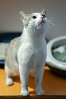 /album/24-02-2026/d687dad7-724b-43fa-9408-06c5212abea2-jpeg/