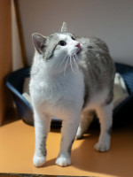 /album/24-02-2026/b0932308-bbd5-40d5-aa8d-cdeadc12d78f-jpeg/