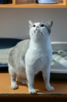 /album/24-02-2026/14b6512c-c49c-4b29-a00e-361e0086398b-jpeg/