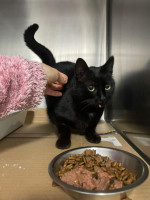 /album/214/5de7415e-3e4e-4635-9b34-58c19d5d61f6-jpeg/