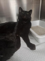 /album/214/a66934c3-0a94-4108-9c3d-f5fd0fec5d6a-jpeg/