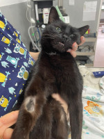 /album/214/5593878c-db05-4f88-b1af-1c0a2e9511d3-jpeg/