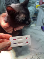 /album/214/8faaee5f-e308-406c-b4bf-f3f974e85568-jpeg/