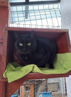 /album/214/611165363-2625872304465608-3499374590732739786-n-jpg/