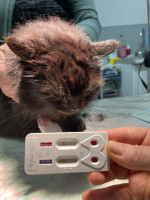 /album/221/bb558632-c96e-4bf1-9efc-4c9a96d31cf1-jpeg/