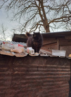 /album/221/611163576-2625857234467115-1597074320109508802-n-jpg/