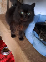 /album/221/612957559-2625857177800454-945331736776362204-n-jpg/