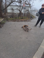 /album/229/634706000-2664036020649236-7662253009008924843-n-jpg/