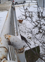 /album/97/635135752-2664306293955542-2211934515437811398-n-jpg/