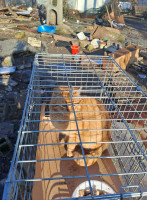 /album/97/635095547-2664306140622224-5068037146171124773-n-jpg/