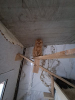 /album/97/635123603-2664306417288863-2102443945256474929-n-jpg/