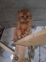 /album/97/637718641-2664306050622233-7665899100601249716-n-jpg/