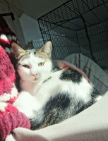 /album/232/425aff6f-5e73-4abd-889b-af64aef8dcb6-jpeg/