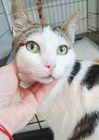 /album/232/305c9f93-e299-4c9f-81a7-90dd60d39b4b-jpeg/