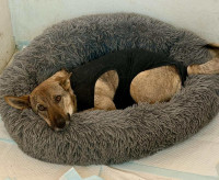 /album/237/632296702-1316340820539890-3206360613092800266-n-jpg/