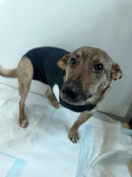 /album/237/633130066-1316340827206556-8092361513725227242-n-jpg/