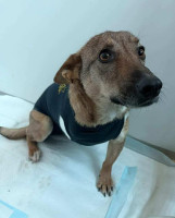 /album/237/631790966-1316340393873266-6380973769379095756-n-jpg/