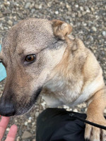 /album/237/633322547-1316341153873190-566101955319266936-n-jpg/