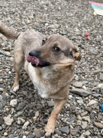 /album/237/633125864-1316340860539886-4899686576235716989-n-jpg/