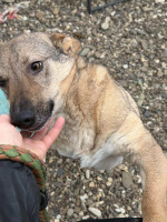 /album/237/631720297-1316341120539860-3688053959507998470-n-jpg/