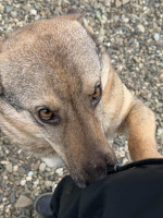 /album/237/633122109-1316340803873225-1621113847088743867-n-jpg/