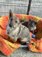 /album/237/631942489-1316341160539856-6016223029437724427-n-jpg/