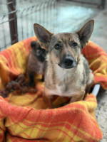 /album/237/633965885-1316340763873229-9024498916680596157-n-jpg/