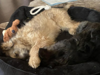 /album/193/33c189bf-6dcd-498f-aa66-dd41a375fe02-jpeg/