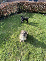 /album/193/f820c54e-a039-4517-8e5f-b25acb2db4b4-jpeg/